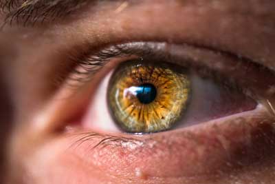 Bedeutung des Augenkontaktes – Augen können mehr als nur sehen: sie senden und empfangen